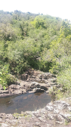 Comentarios y opiniones de Parque Gran Bretaña