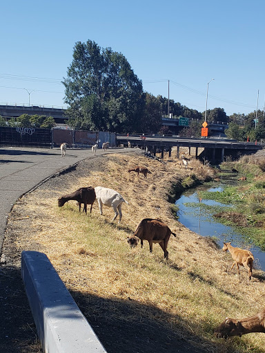 Self-Storage Facility «StoragePRO Self Storage of Hayward», reviews and photos, 1820 Pacheco Way, Hayward, CA 94544, USA