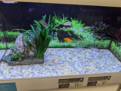 Pet Supply Store «Petco Animal Supplies», reviews and photos, 2722 N Josey Ln #107, Carrollton, TX 75007, USA