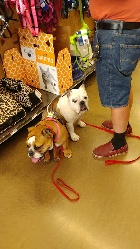 Pet Supply Store «Pet Supplies Plus», reviews and photos, 1237 Concord Pkwy N, Concord, NC 28025, USA