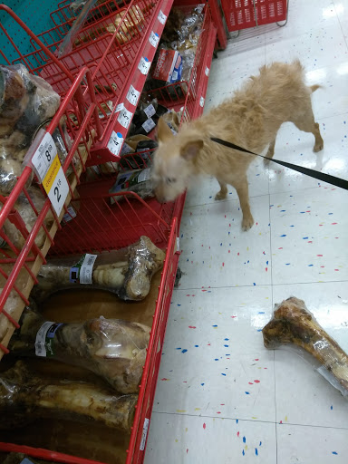 Pet Supply Store «Petco Animal Supplies», reviews and photos, 5481 Lone Tree Way, Brentwood, CA 94513, USA