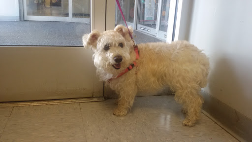 Pet Supply Store «Petco Animal Supplies», reviews and photos, 2520 E 3rd St, Bloomington, IN 47401, USA