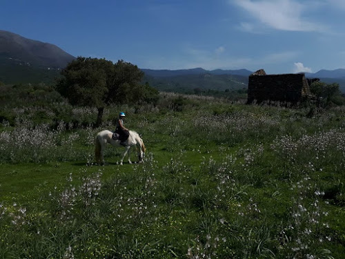 Ranch Caval’en Liberté à Olmeta-di-Tuda