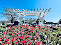 Armstrong Garden Centers - Photo 7 - Car repair in Carlsbad, CA, Carlsbad