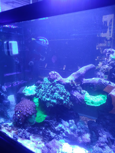 Pet Store «All Pets Club», reviews and photos, 1167 N Colony Rd, Wallingford, CT 06492, USA