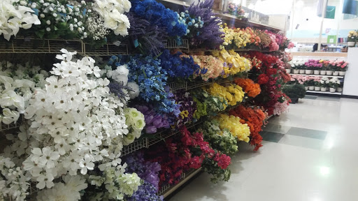 Fabric Store «Jo-Ann Fabrics and Crafts», reviews and photos, 250 Pavilion Pkwy, Fayetteville, GA 30214, USA