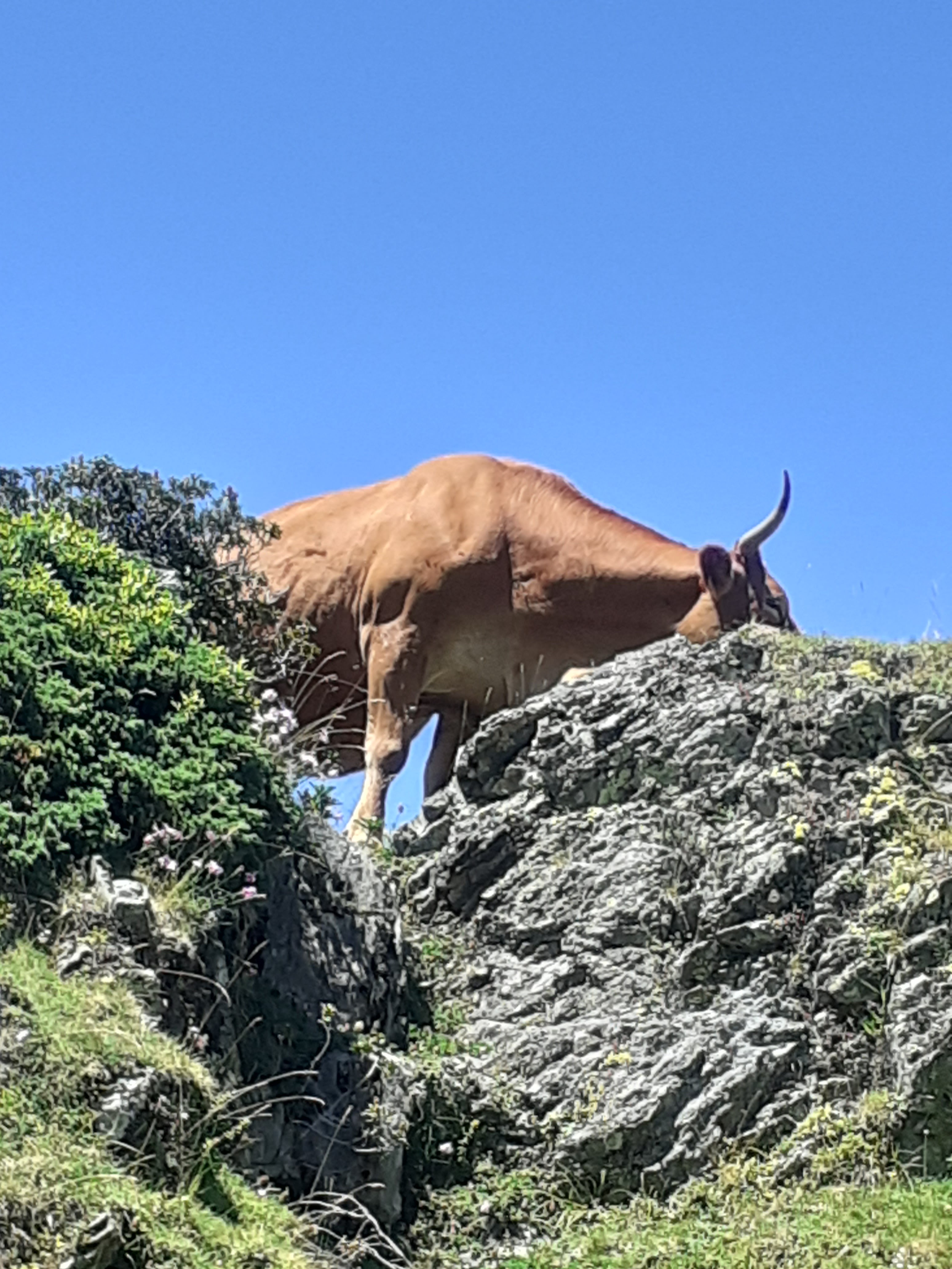 Photo n° 1 de l'avis de patrice.a fait le 16/08/2020 à 22:10