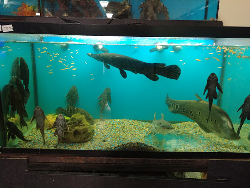 Pet Supply Store «Monster Pets», reviews and photos, 1575 N 52nd St, Philadelphia, PA 19131, USA