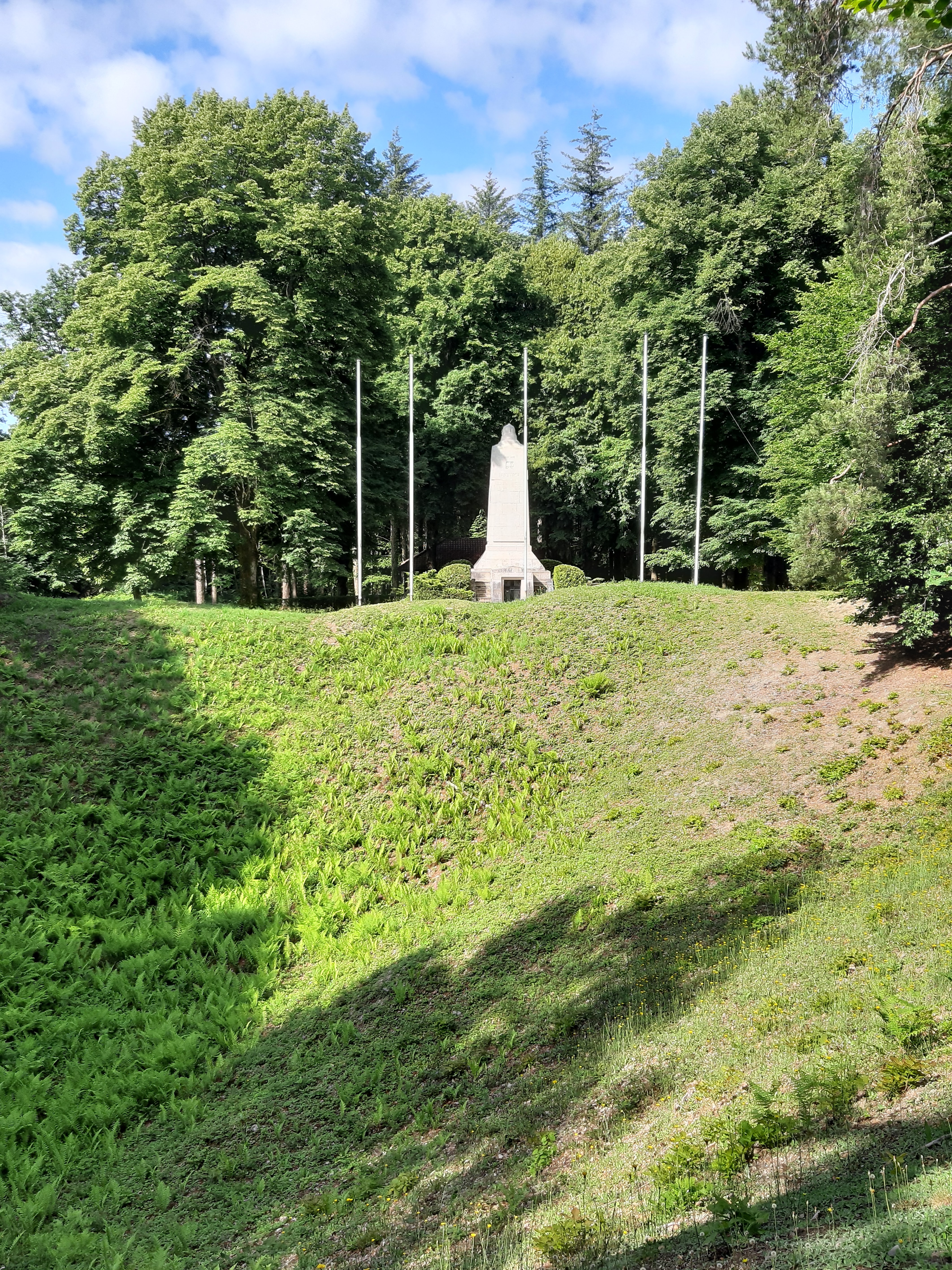 Photo n° 2 de l'avis de Frans.a fait le 16/06/2022 à 18:08