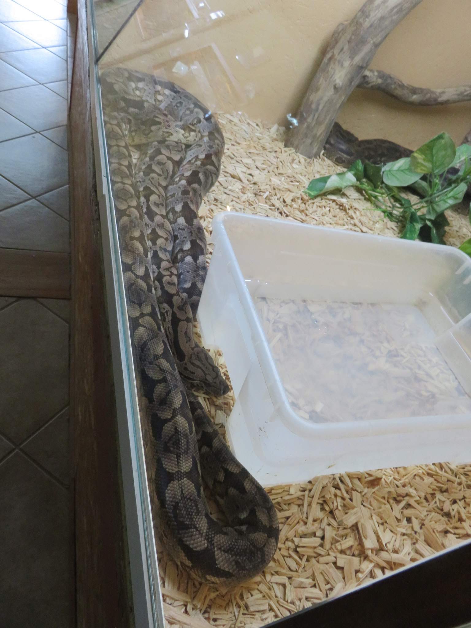 Photo n° 11 de l'avis de Joelle.o fait le 19/07/2019 à 12:55