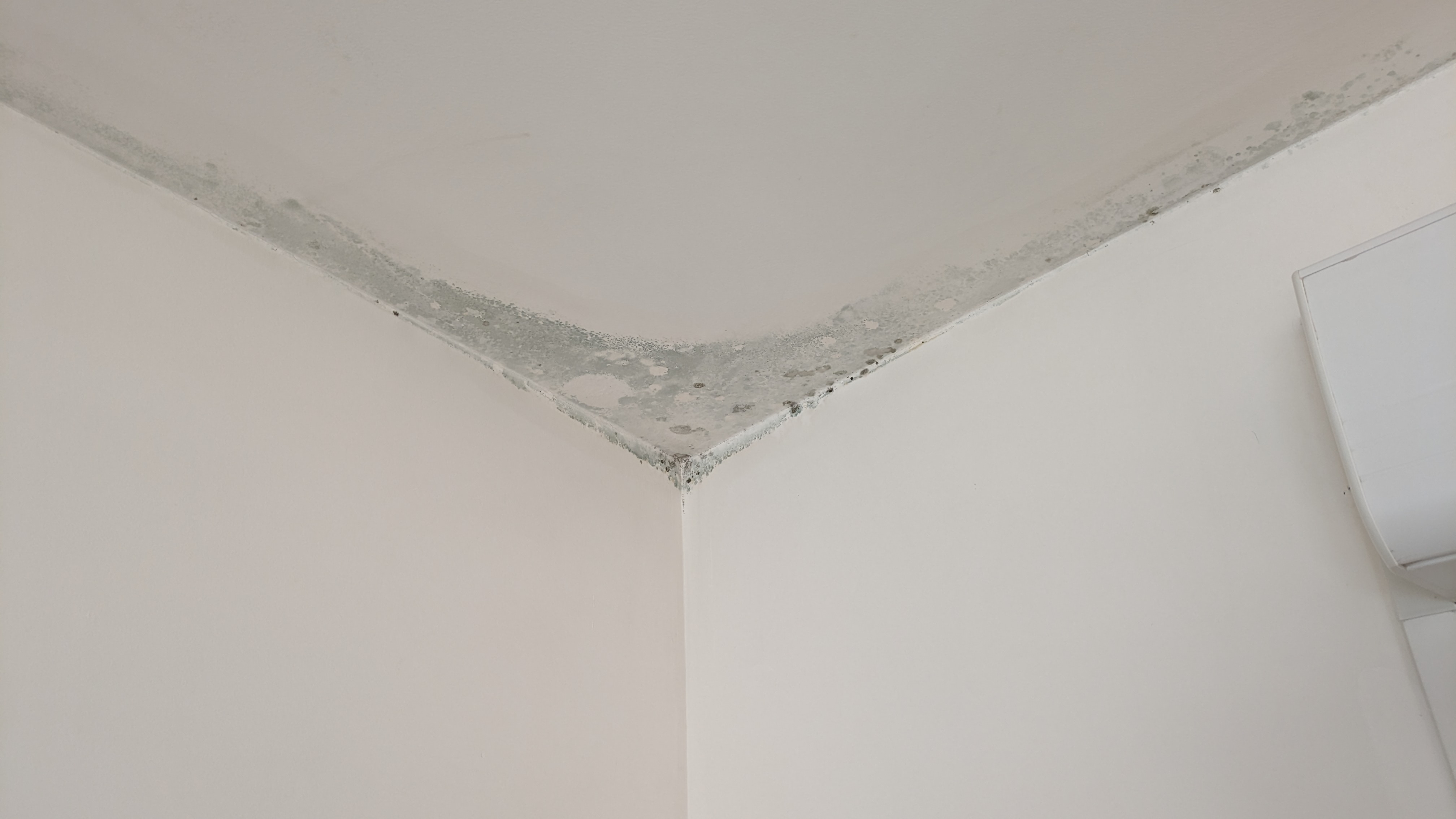 Photo n° 2 de l'avis de Foul.6 fait le 19/12/2023 à 12:22