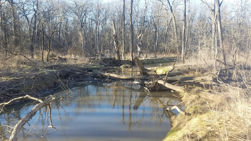Nature Preserve «Sauk Trail Woods», reviews and photos, 3028 Forest Preserve Dr, Chicago Heights, IL 60411, USA