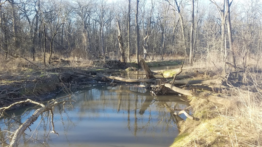 Sauk Trail Woods