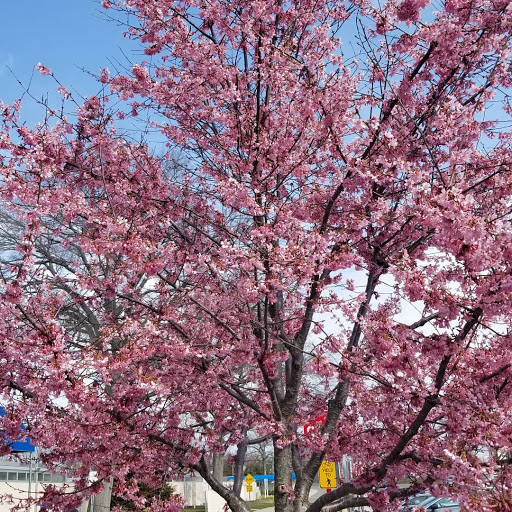 State Park «Valley Stream State Park», reviews and photos, Valley Stream State Park Rd, Valley Stream, NY 11580, USA