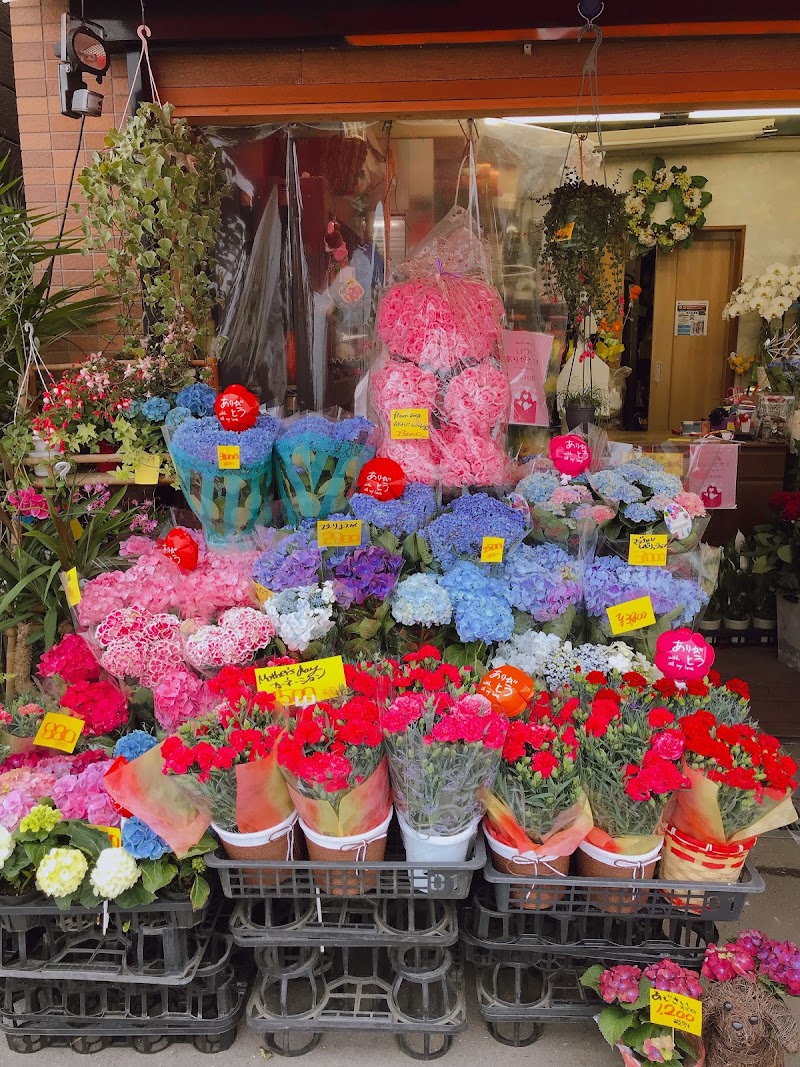 フラワーショップ ライラ 大阪府大阪市住吉区沢之町 花屋 花 グルコミ