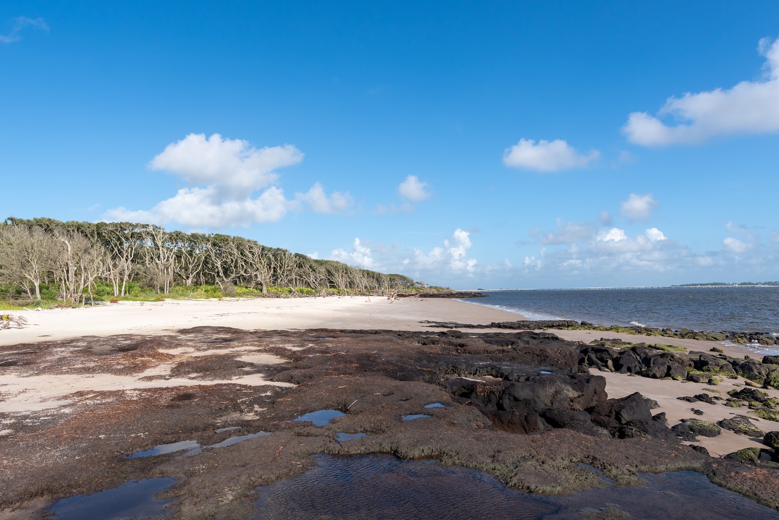 Foto av Boneyard beach - populär plats bland avkopplingskännare