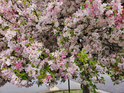 Supermarket «ALDI», reviews and photos, 1505 Heritage Hills Dr, Washington, MO 63090, USA