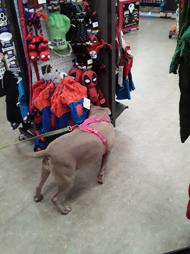 Pet Supply Store «Petco Animal Supplies», reviews and photos, 5850 Sepulveda Blvd, Van Nuys, CA 91411, USA