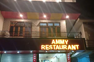Ammy Restaurant image