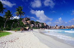 Photo de Plage de Grand Anse avec #43