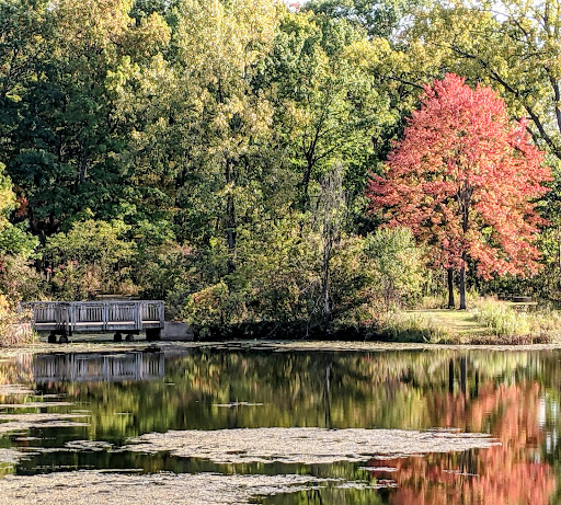 Nature Preserve «Captain Daniel Wright Woods Forest Preserve», reviews and photos, 24830 N St Marys Rd, Mettawa, IL 60045, USA