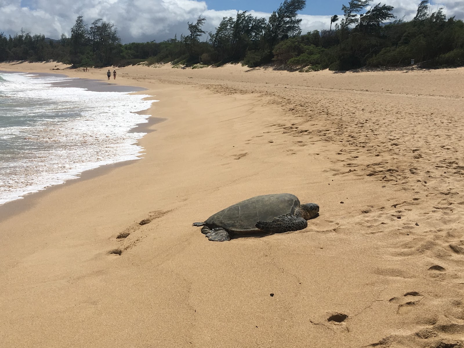 VOR Beach的照片 野外区域