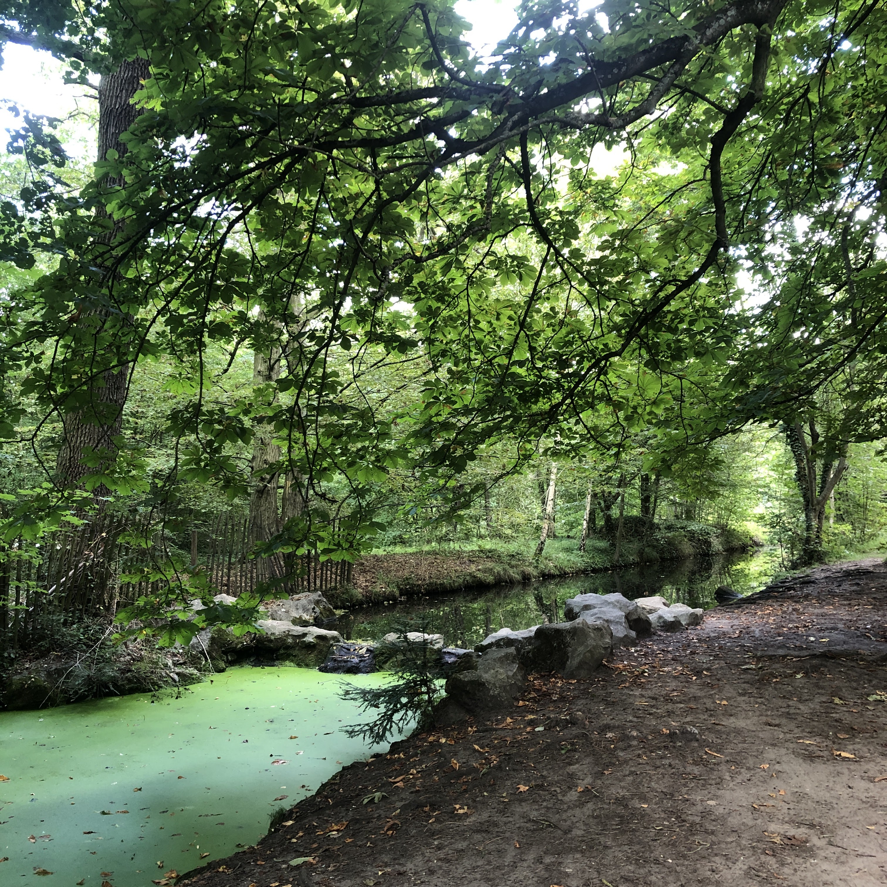 Photo n° 3 de l'avis de Munkhkhuslen.a fait le 29/08/2023 à 23:03