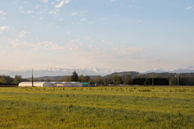 La Légume Rit à Denguin