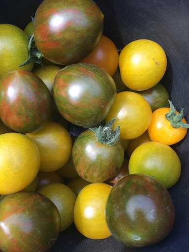 Produce Market «Highland Orchards Farm Market», reviews and photos, 1431 Foulk Rd, Wilmington, DE 19803, USA