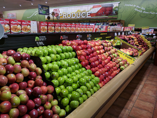 Supermarket «Big Y», reviews and photos, 2035 Boston Rd, Wilbraham, MA 01095, USA