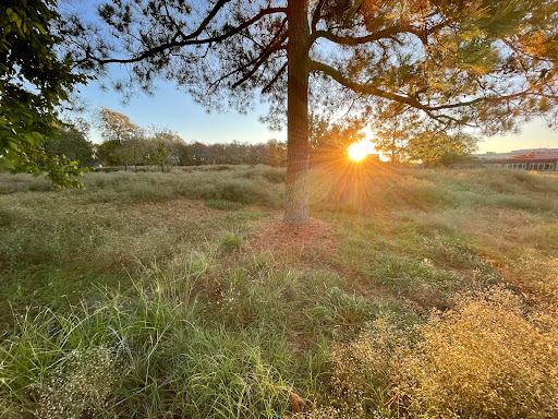 Golf Course «Heron Lakes Golf Course», reviews and photos, 7910 North Sam Houston Pkwy W, Houston, TX 77064, USA