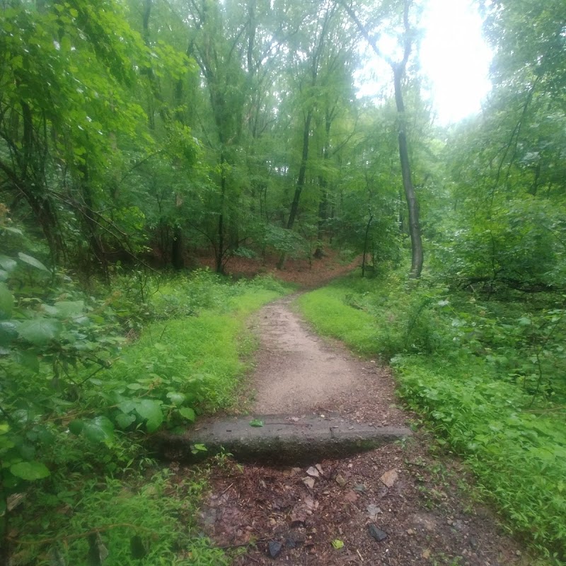 Neversink Trail