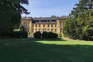 NSG Schlosspark Lichterfelde image