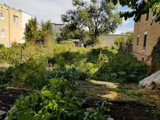 4th East Community Garden