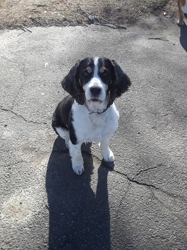 Park «Joe Moakley Park», reviews and photos, 1005 Columbia Road, Boston, MA 02127, USA