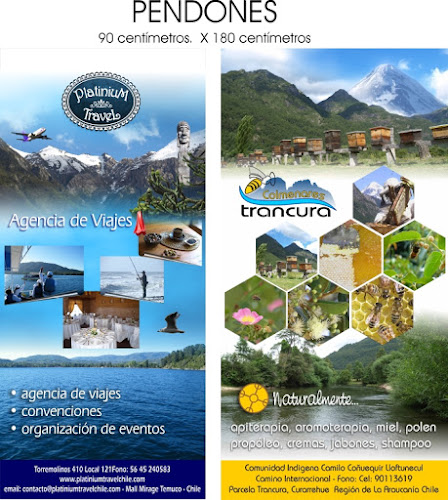 Sauzalito 1270, 4850000 Araucanía, Padre Las Casas, Araucanía