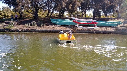 Recreation Center «Shoreline Lake Boathouse», reviews and photos, 3160 N Shoreline Blvd, Mountain View, CA 94043, USA