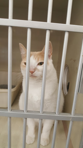 Pet Supply Store «Petco Animal Supplies», reviews and photos, 11976 Dublin Blvd, Dublin, CA 94568, USA