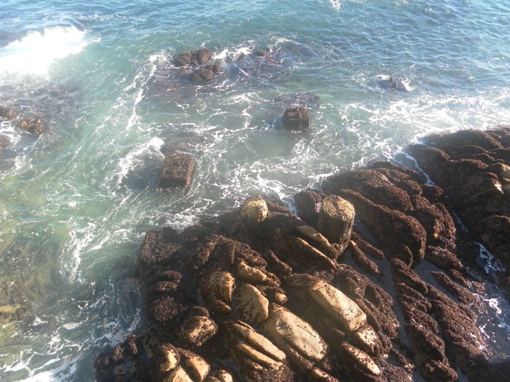 G.Y.L Packaging Company