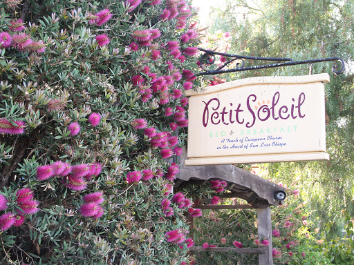 Petit Soleil image
