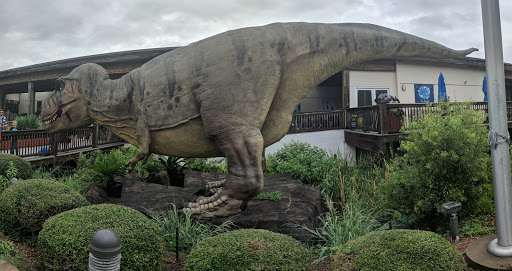 Aquarium «North Carolina Aquarium at Pine Knoll Shores», reviews and photos, 1 Roosevelt Blvd, Pine Knoll Shores, NC 28512, USA