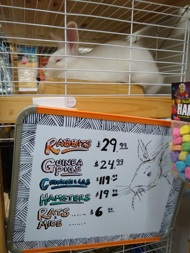 Pet Store «Fin-N-Feather», reviews and photos, 2931 F St, Eureka, CA 95501, USA