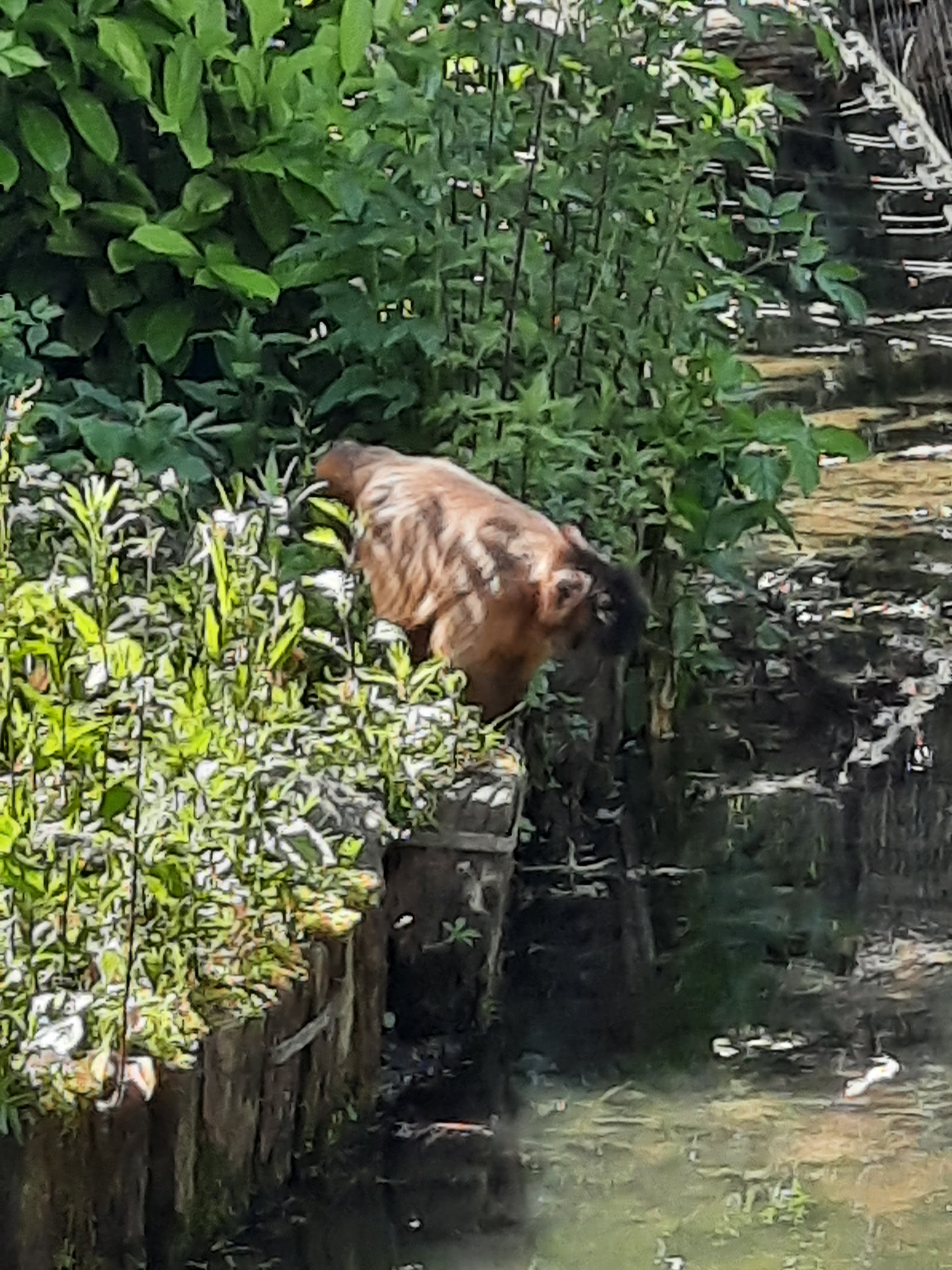 Photo n° 4 de l'avis de Gilda.i fait le 04/06/2023 à 15:22