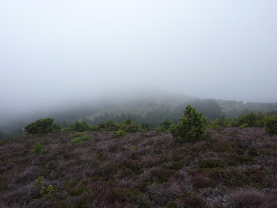 Combe de Gril à Miraval-Cabardes