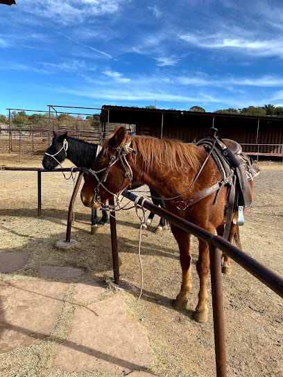 Sedona Horseback Rides - M Diamond Ranch