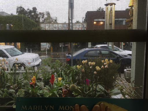 Tobacco Shop «Green House Smoke Shop», reviews and photos, 1428 Abbot Kinney Blvd, Venice, CA 90291, USA