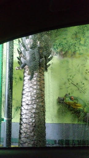 Car Wash «Green Forest Car Wash», reviews and photos, 4649 W Rosecrans Ave, Hawthorne, CA 90250, USA