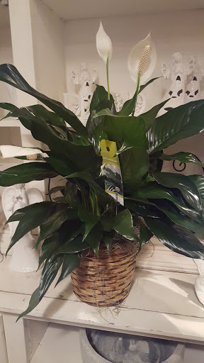 Florist «Thrifty Florist Ann Arbor», reviews and photos, 3021 Carpenter Rd, Ypsilanti, MI 48197, USA