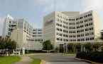 University Of Florida College Of Medicine – Jacksonville