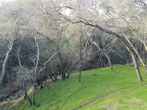 Wildlife Refuge «Folsom City Zoo Sanctuary», reviews and photos, 403 Stafford St, Folsom, CA 95630, USA